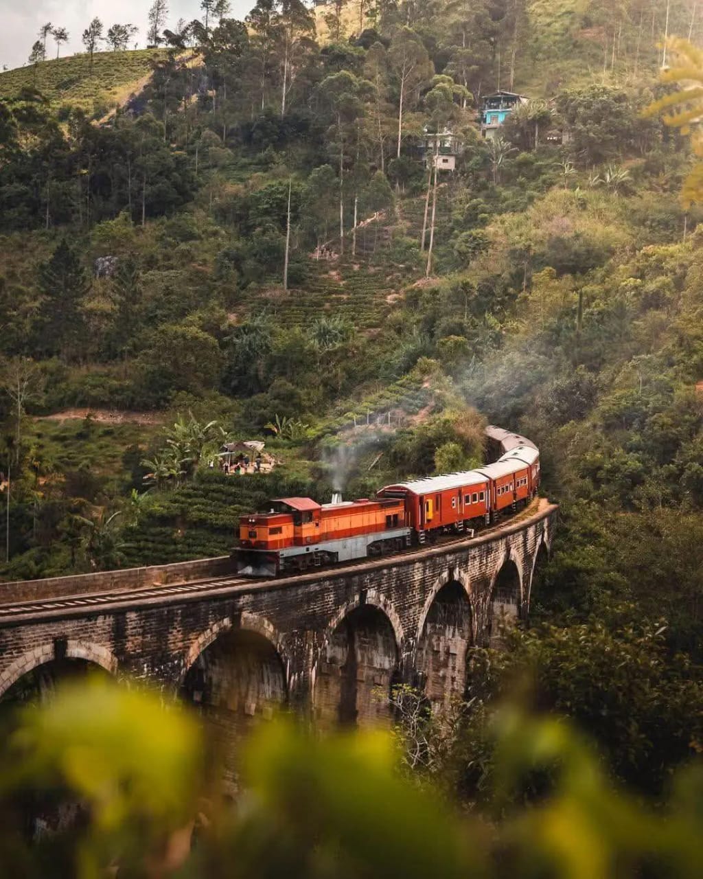 Yala National Park