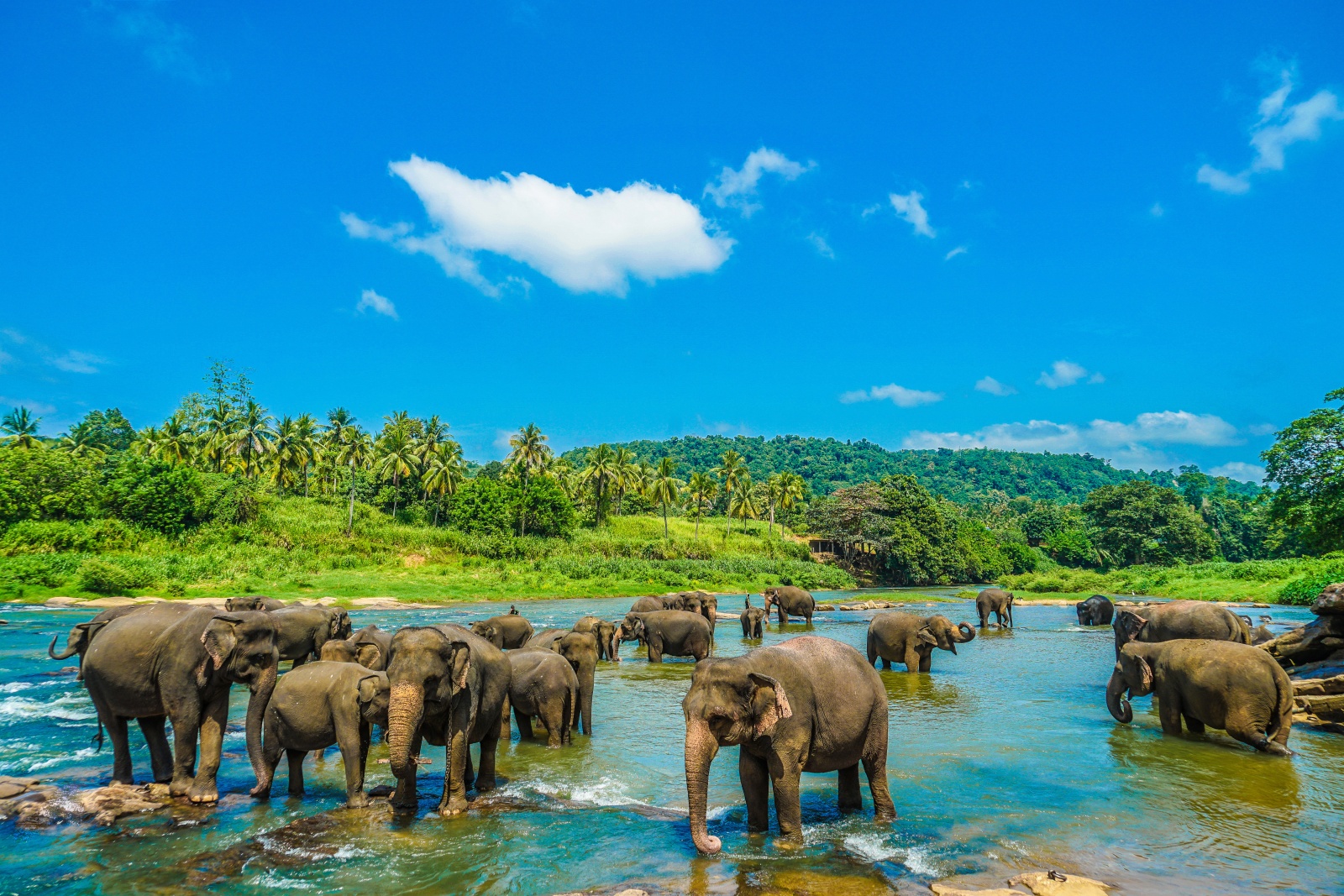 Yala National Park