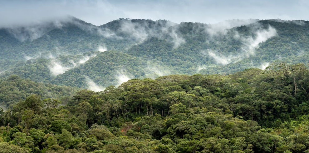 Yala National Park
